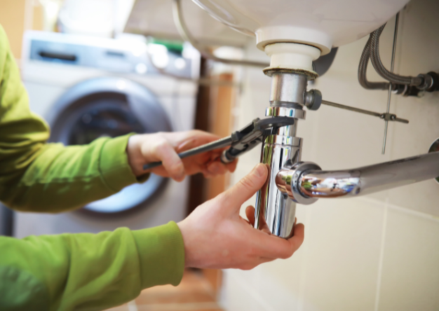 arman 500 x 600 px 626 x 444 px 3.png